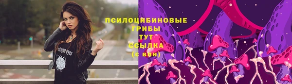 spice Абинск